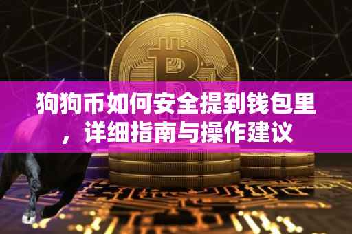 狗狗币如何安全提到钱包里，详细指南与操作建议