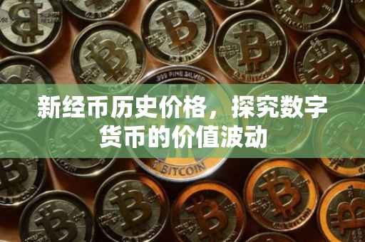 新经币历史价格，探究数字货币的价值波动