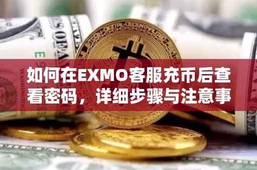 如何在EXMO客服充币后查看密码，详细步骤与注意事项