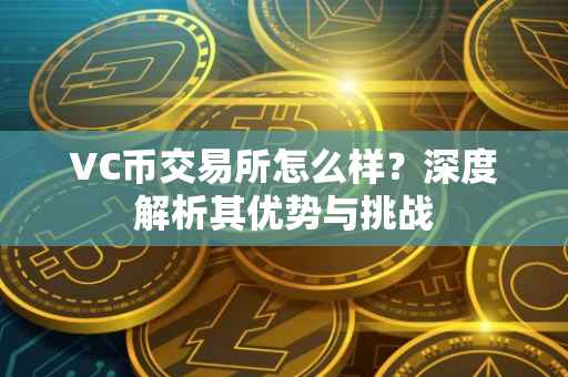 VC币交易所怎么样？深度解析其优势与挑战