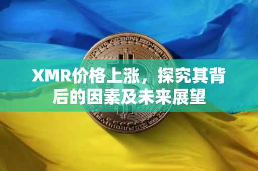 XMR价格上涨，探究其背后的因素及未来展望