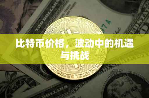 比特币价格，波动中的机遇与挑战