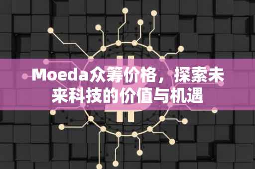 Moeda众筹价格，探索未来科技的价值与机遇