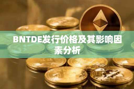 BNTDE发行价格及其影响因素分析