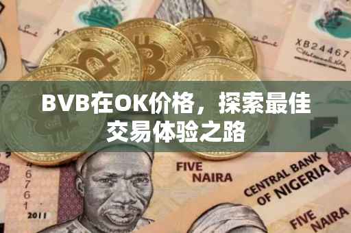 BVB在OK价格，探索最佳交易体验之路