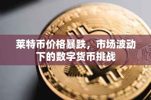 莱特币价格暴跌，市场波动下的数字货币挑战