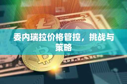 委内瑞拉价格管控，挑战与策略
