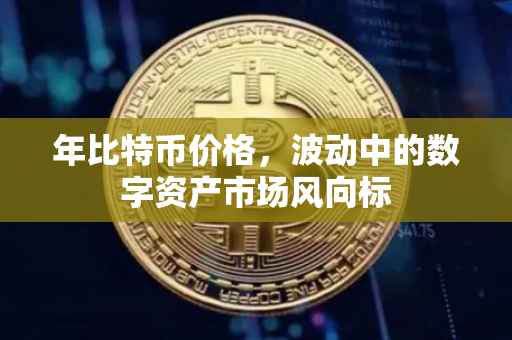 年比特币价格，波动中的数字资产市场风向标