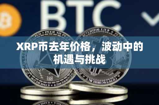 XRP币去年价格，波动中的机遇与挑战