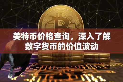 美特币价格查询，深入了解数字货币的价值波动