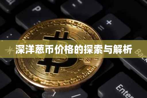 深洋葱币价格的探索与解析