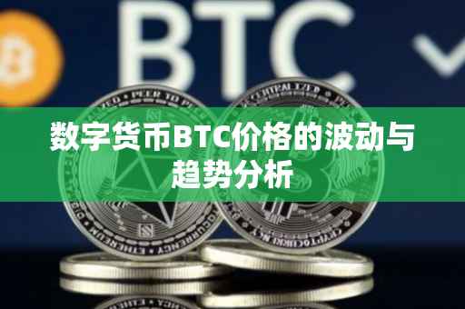 数字货币BTC价格的波动与趋势分析