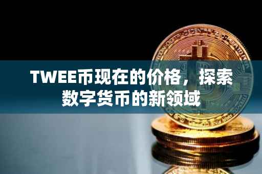 TWEE币现在的价格，探索数字货币的新领域