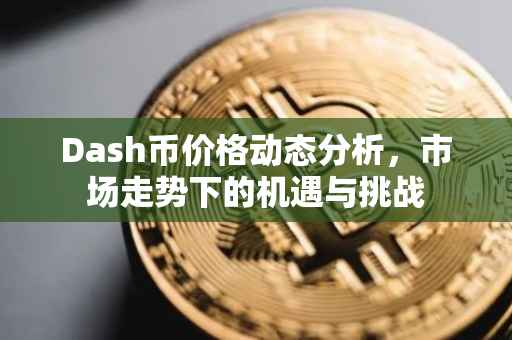 Dash币价格动态分析，市场走势下的机遇与挑战