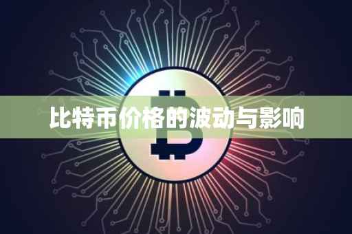 比特币价格的波动与影响