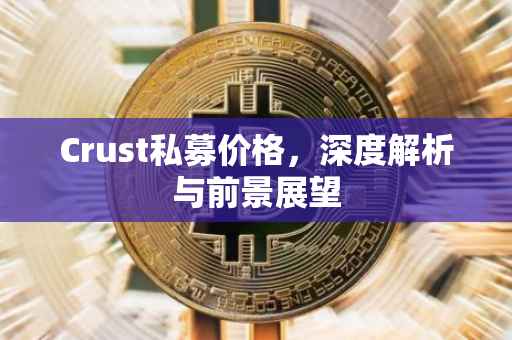 Crust私募价格，深度解析与前景展望