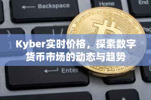 Kyber实时价格，探索数字货币市场的动态与趋势