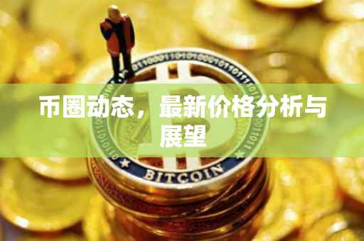 币圈动态，最新价格分析与展望