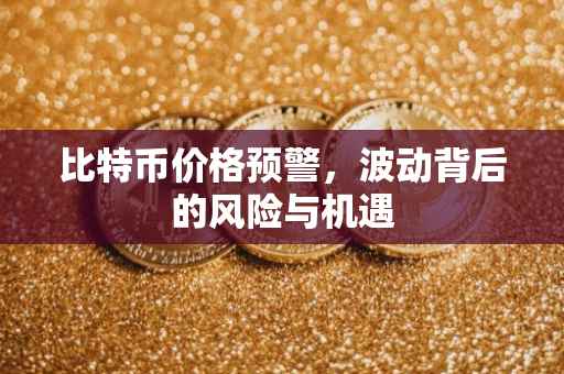 比特币价格预警，波动背后的风险与机遇