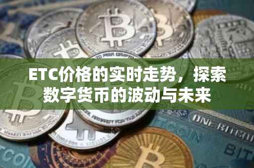 ETC价格的实时走势，探索数字货币的波动与未来