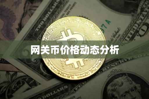 网关币价格动态分析