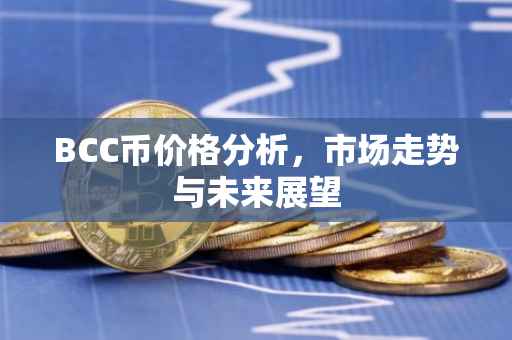 BCC币价格分析，市场走势与未来展望