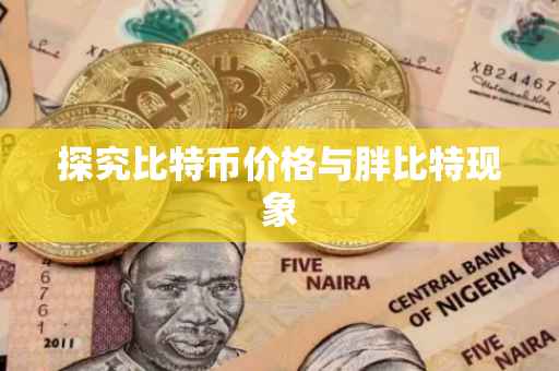 探究比特币价格与胖比特现象
