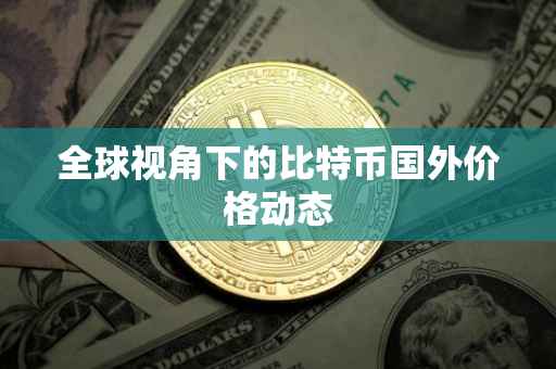 全球视角下的比特币国外价格动态