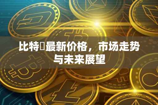 比特帀最新价格，市场走势与未来展望