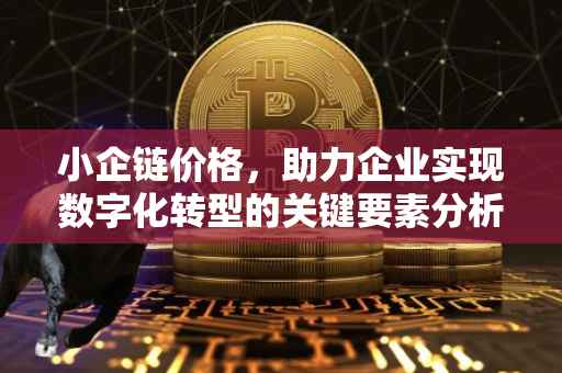小企链价格，助力企业实现数字化转型的关键要素分析