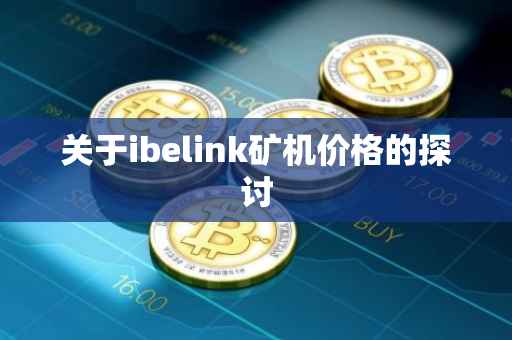 关于ibelink矿机价格的探讨