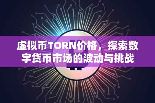 虚拟币TORN价格，探索数字货币市场的波动与挑战
