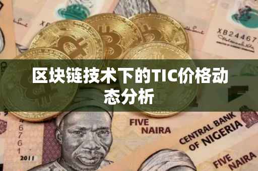 区块链技术下的TIC价格动态分析