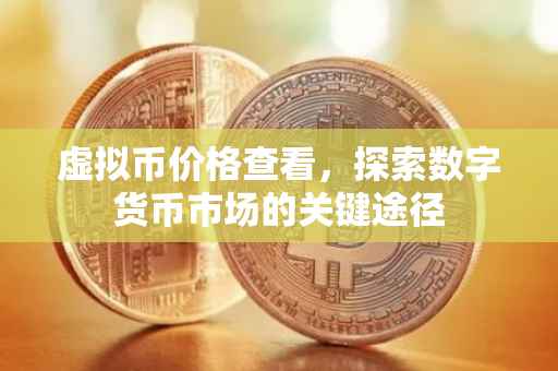 虚拟币价格查看，探索数字货币市场的关键途径