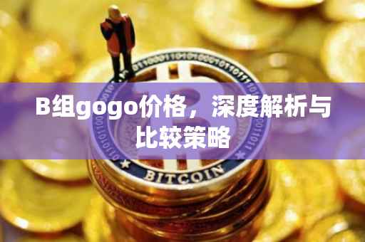 B组gogo价格，深度解析与比较策略