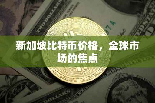新加坡比特币价格，全球市场的焦点