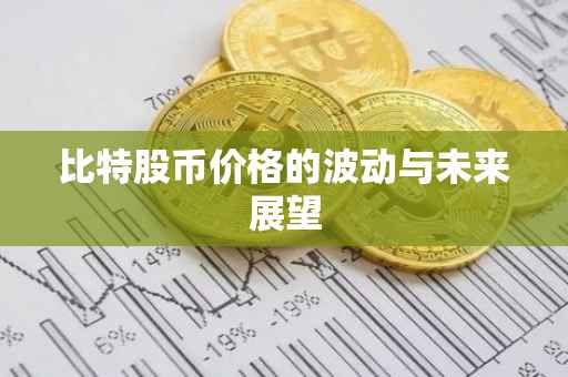 比特股币价格的波动与未来展望