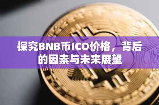 探究BNB币ICO价格，背后的因素与未来展望