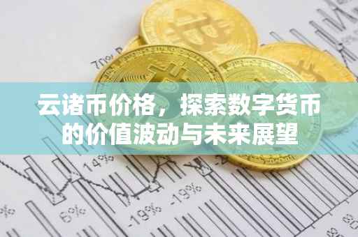 云诸币价格，探索数字货币的价值波动与未来展望