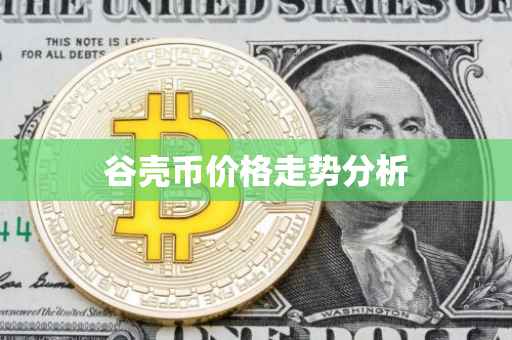 谷壳币价格走势分析