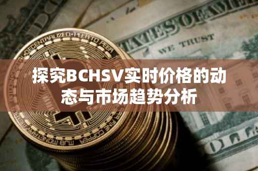 探究BCHSV实时价格的动态与市场趋势分析