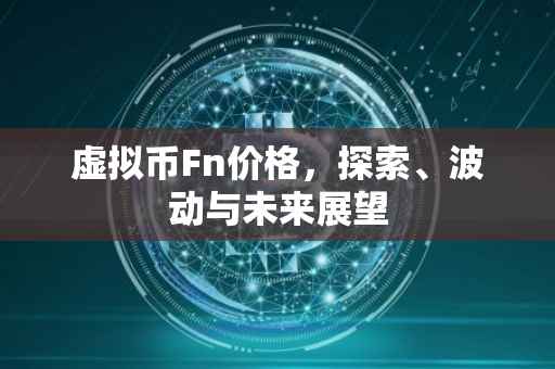 虚拟币Fn价格，探索、波动与未来展望