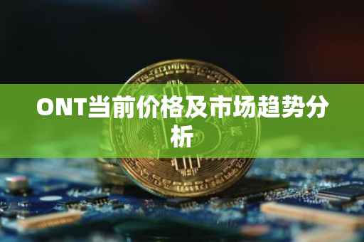 ONT当前价格及市场趋势分析