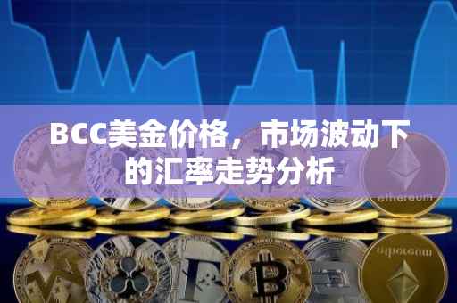BCC美金价格，市场波动下的汇率走势分析
