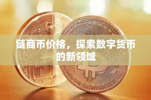 链商币价格，探索数字货币的新领域