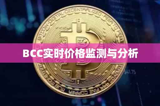 BCC实时价格监测与分析