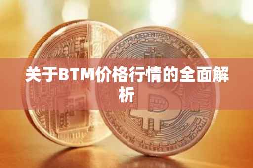 关于BTM价格行情的全面解析