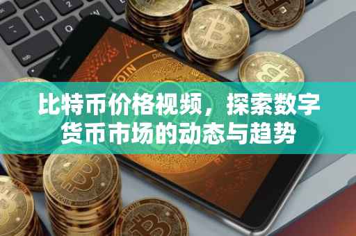 比特币价格视频，探索数字货币市场的动态与趋势