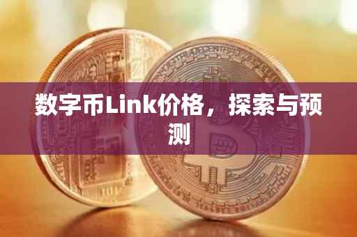 数字币Link价格，探索与预测