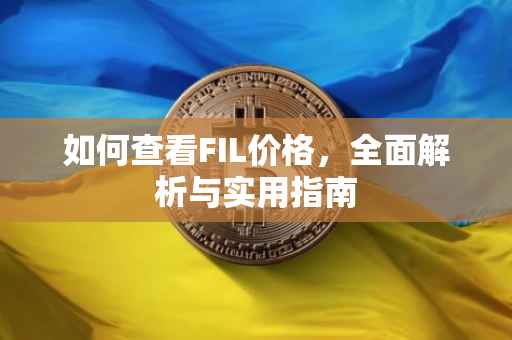 如何查看FIL价格，全面解析与实用指南